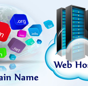 Web Registration and Hosting - Individual Package