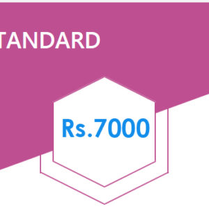 Web Designing - Standard Pack